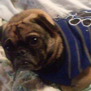 Meet your Posher, Melinda